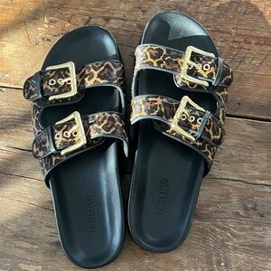 J.Crew Leopard Print Sandals with Gold Buckles